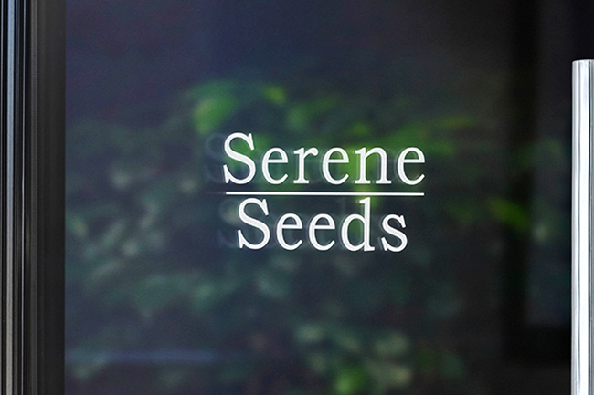 waterproof serene seeds custom decal 